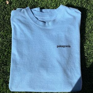 Light Blue Patagonia T-shirt
